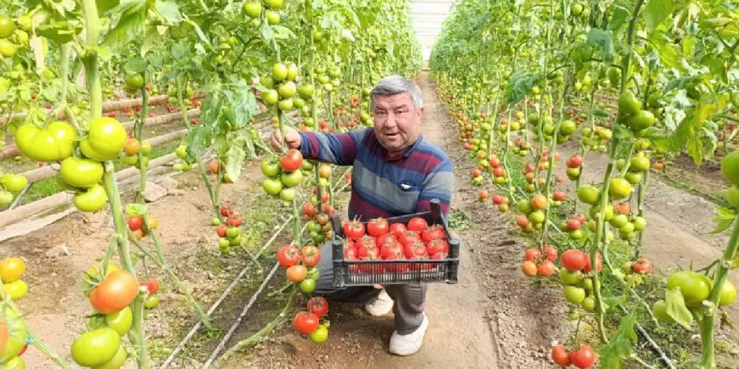 Kaplıca suyuyla en doğal üretim: Kütahya’dan çıkıyor, pazarların gözdesi oluyor 3